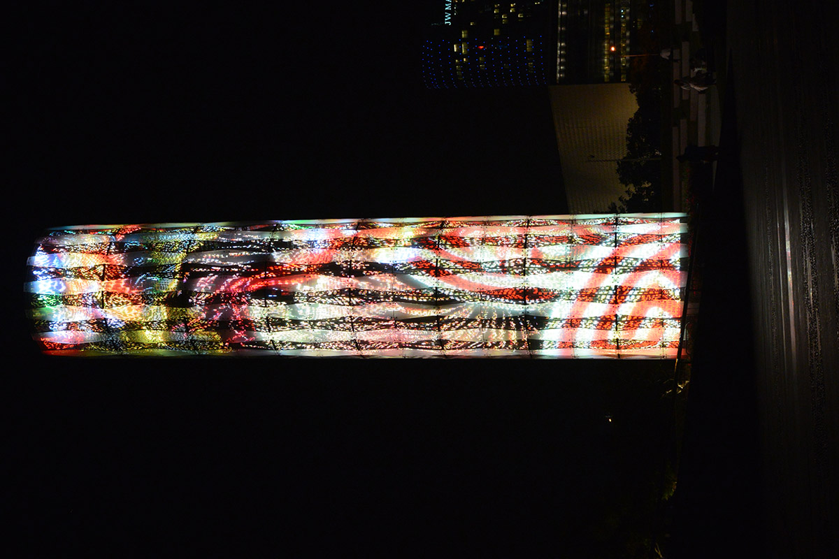 00507.jpg 00507.jpg